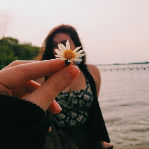 flor-de-erva.tumblr.com/post/114412682823/