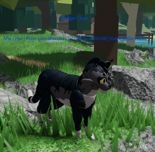 Badgerclaw Tumblr Posts Tumbral Com - good warrior cat ocs on roblox