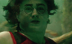 prisonerfromazkaban:  Harry Potter Scenes 