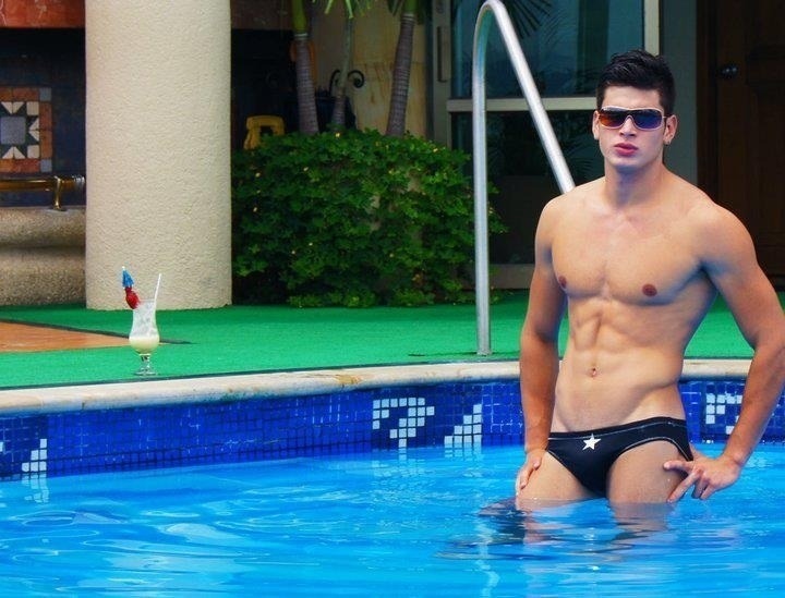 bulgebrasil:   Gatos bulgebrasil 
