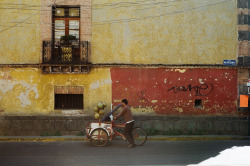 lensandpencil:Mexico, January 2015
