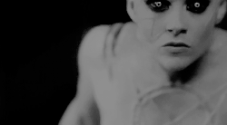 reginamiills:  I believe in this world and those creatures that fill it. That’s always been enough f