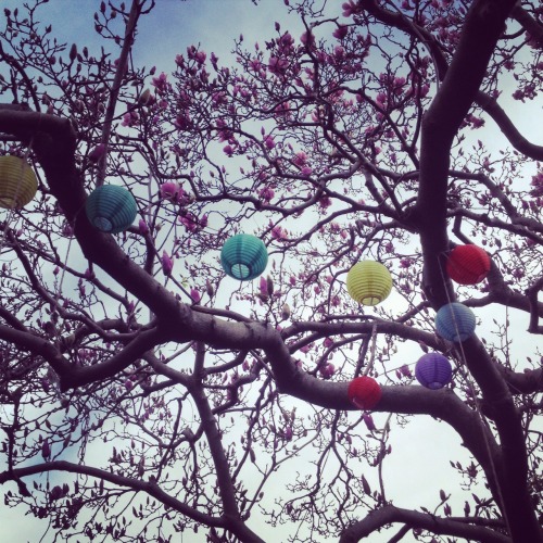 Paper lantern picnic