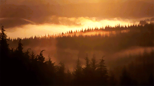 Cloak Of The Sun