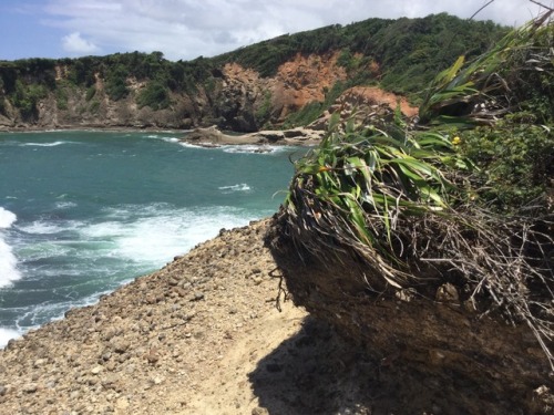 Dominica has so many amazing vistas. Snoop and I check out the north east coast near Calibishie. Win