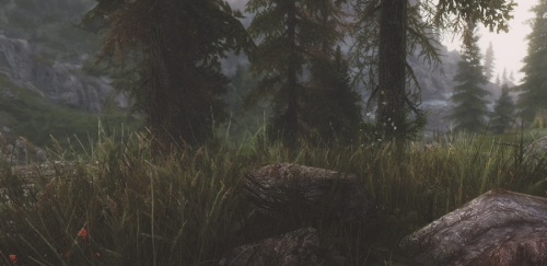 pxelbunny: Skyrim + lush grass