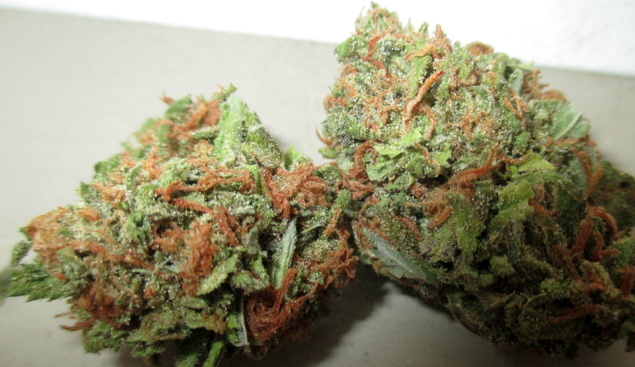sytanic:  tastes fruity  