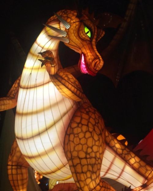 Dragon from Shrek at Dreamworks Lights #dreamworkslights #lanterns #dragon #shrek #stgeorgeshall #li