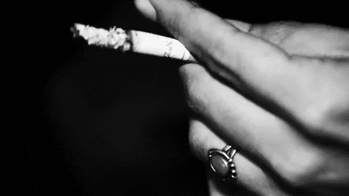 DARK PARADISE 🌙:.