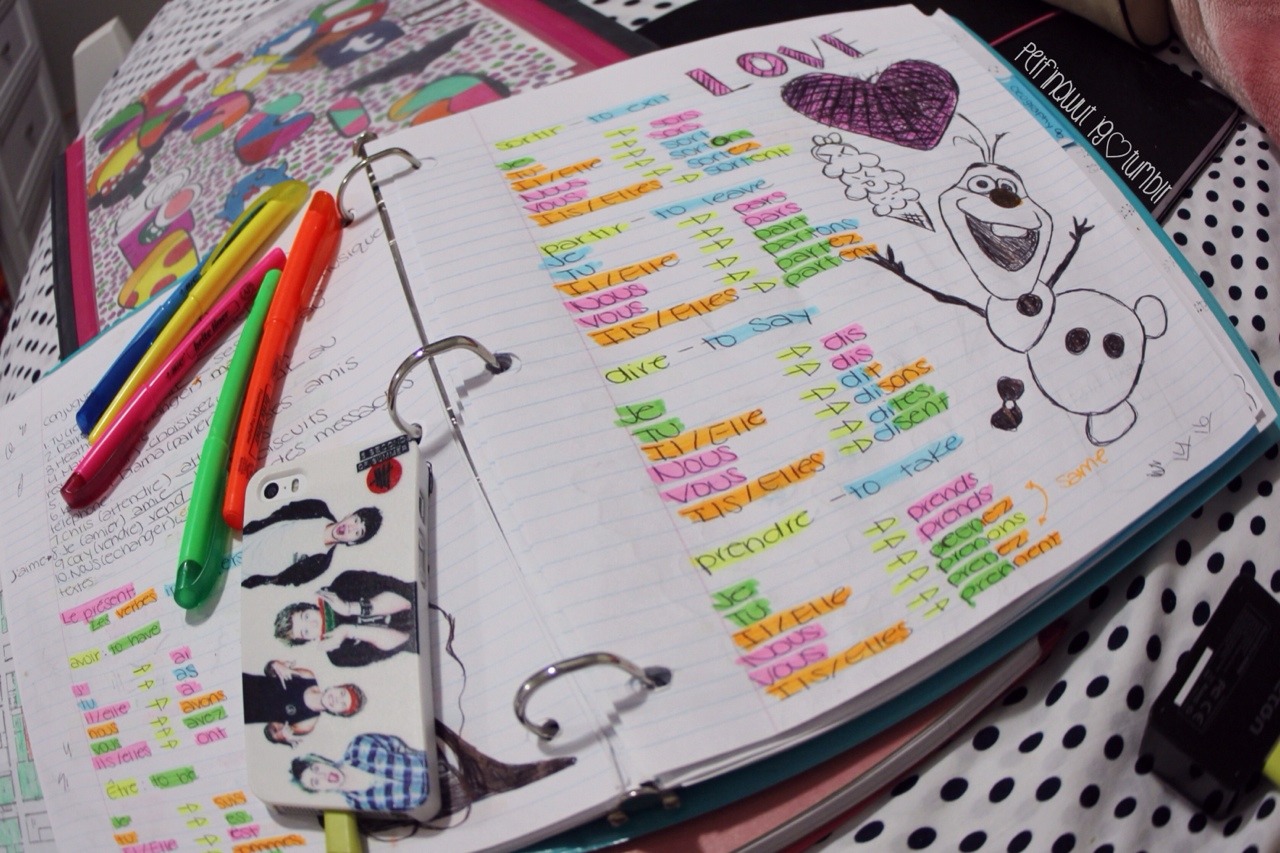 perfinqwut:  My French notes are fabulous bc Olaf so I had to take a picture of it