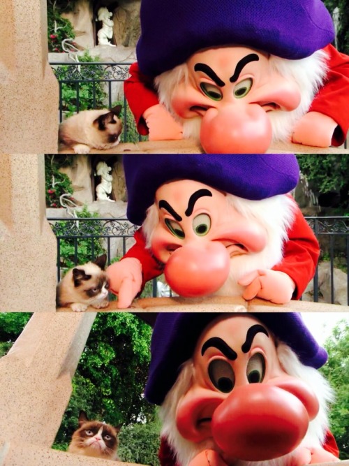 kymarcelon-ish:  dolewhipofdisney:  Grumpy Cat Shows Her Disney Side [x]  Grumpy cat in the happiest place on earth… How ironic… 