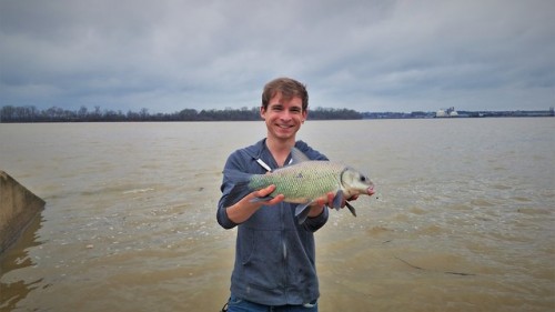 isaacsfishingcorner:A successful search for a Smallmouth Buffalo, and a few of the by-catch along th