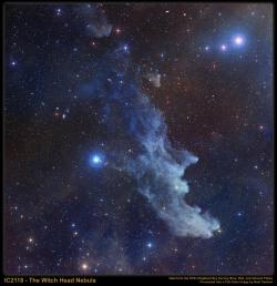 antikythera-astronomy:  The Witch Head Nebula (Image Credit: NASA/STScI Digitized Sky Survey/Noel Carboni) 