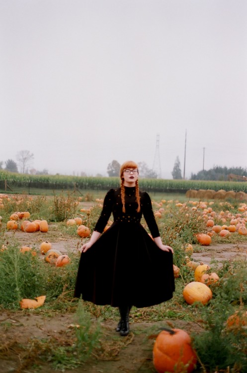 sierramckenzie: <3 halloween pumpkin patch masterpost. me by dylan staley