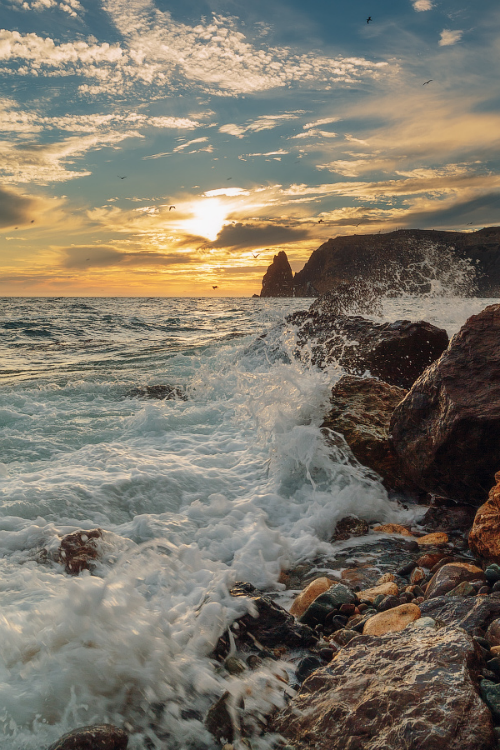 expressions-of-nature:
“ Flights in dreams and reality by: Bruno Tomsk ”