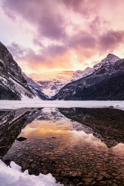 ponderation:  The Majestic Lake Louise by