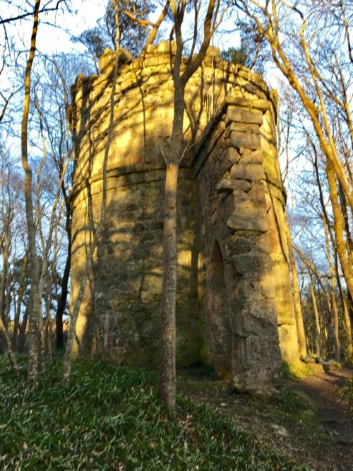 wee tower in the woods Edzell, Scotland, March 2017