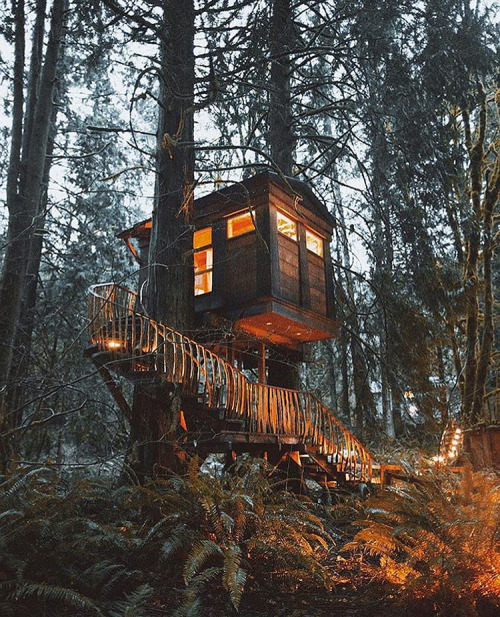 Hidden Treehouse. Located in Washington.A tree house, a free house,A secret you and me house,A high 