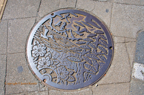 Manhole cover, Hiratsuka, Kanagawa Japan.