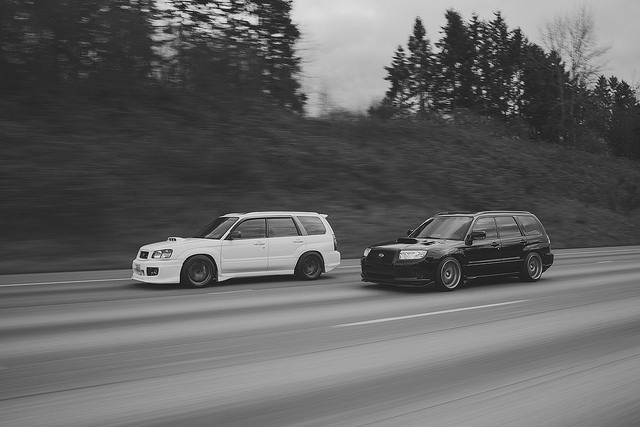 frankensti:  DSC_2613 on Flickr.
