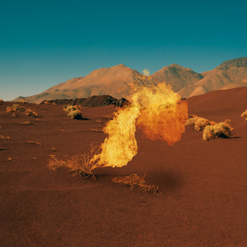 lafilleblanc: Neil Krug Bonobo, Migration Album Artwork watch