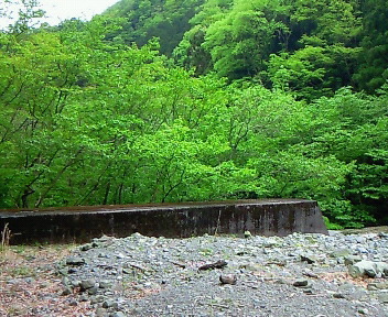 新緑　二俣　下流　丹沢　神奈川県Tanzawa, Kanagawa