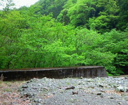 新緑　二俣　下流　丹沢　神奈川県Tanzawa, Kanagawa