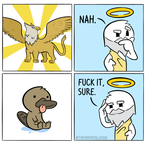 omghotmemes:God works in mysterious ways