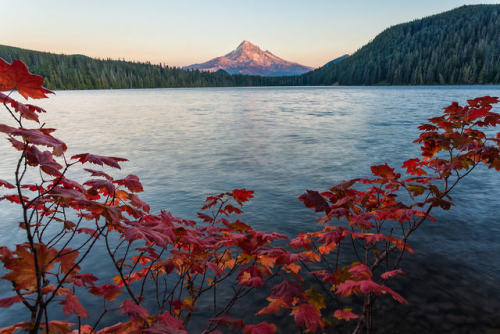 superbnature: Mount Hood and Lost Lake by brianjon ift.tt/2OSgopa