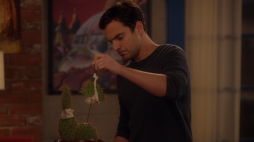 new girl (s01e14)