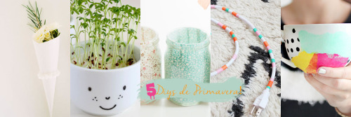 bo-utique:  DIY: 5 diy’s de Primavera!Hoy no deberia estar subiendo post por que les dije