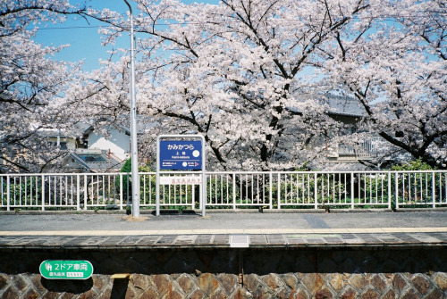 zyu10:Kyoto, Japan, 2015