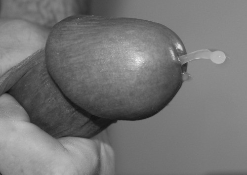 johnsquirt:Cum Time!
