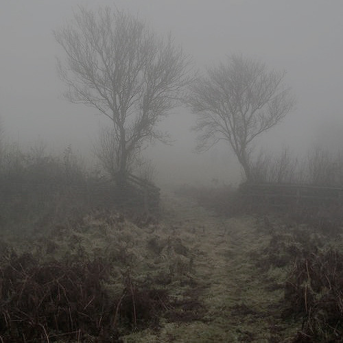 harinxtons:Wuthering Heights // Emily Bronte.