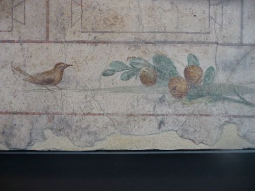 romegreeceart:Palazzo Massimo - Fresco Details 3As one can see I just loved to take photos of fresco