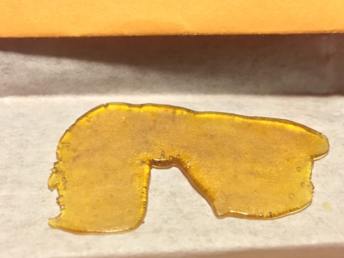 mgpurrrp - Blue Head Band (hybrid) shatter.