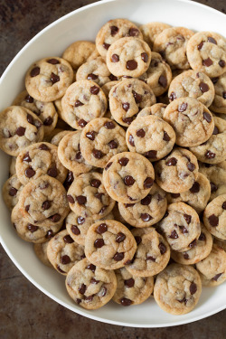 gastrogirl:  chocolate chip cookie bites.