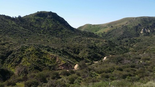 Reason for aforementioned sore arse. Excessive hiking in Whiting Ranch.