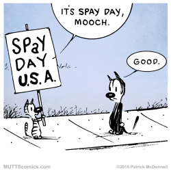 muttscomicsofficial:Don’t forget to spay