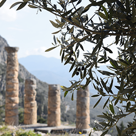 searuins:some highlights from my trip to athens & delphi ♥︎photos by me