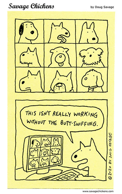 savagechickens:  Dog Distance.And more communication.