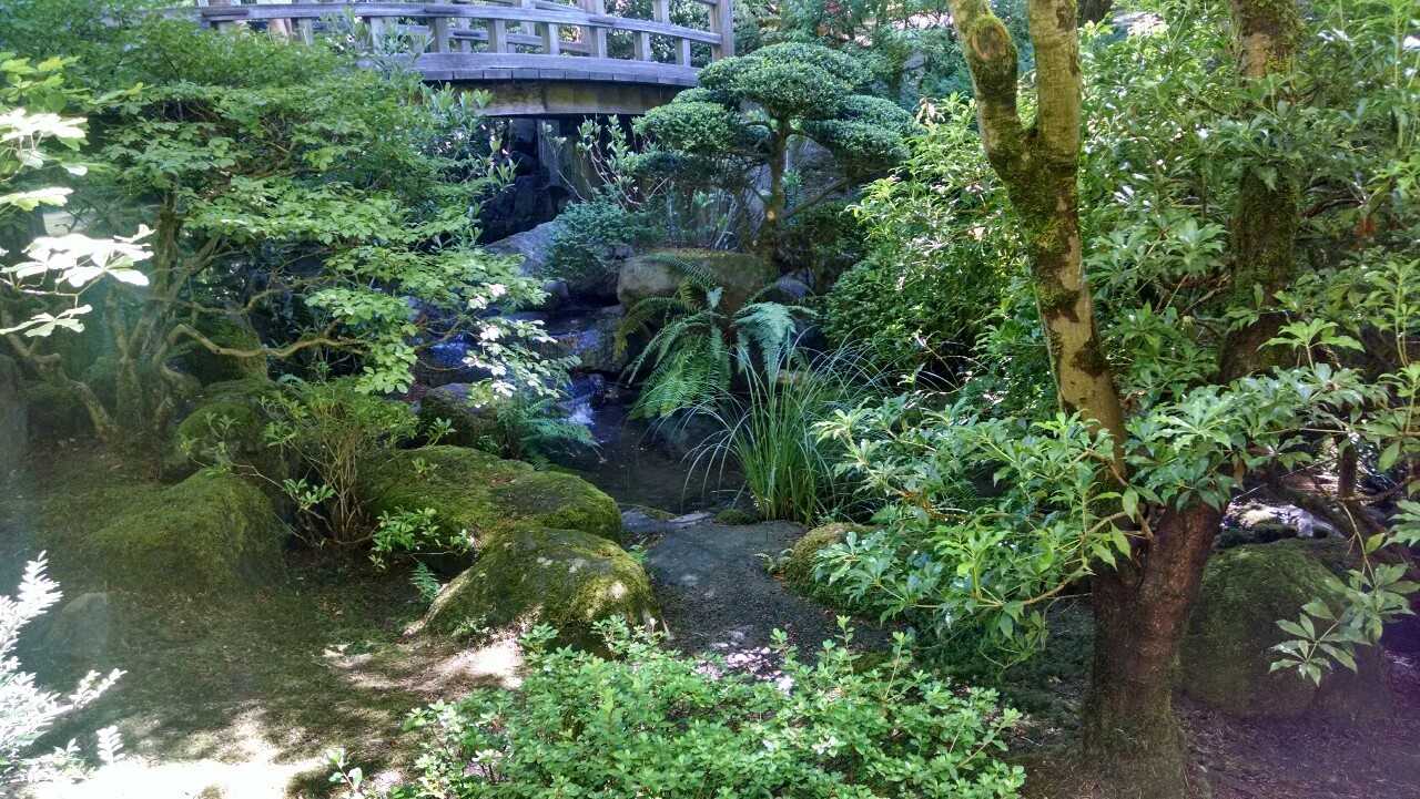 txepvi:  Some more of the Japanese gardens!
