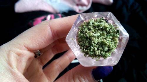 indica-illusions: indica-illusions: i love this bowlhead hey i’m on my dash