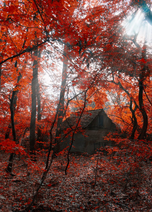 coiour-my-world:House of horror, by Dorian Pusztay on 500px.