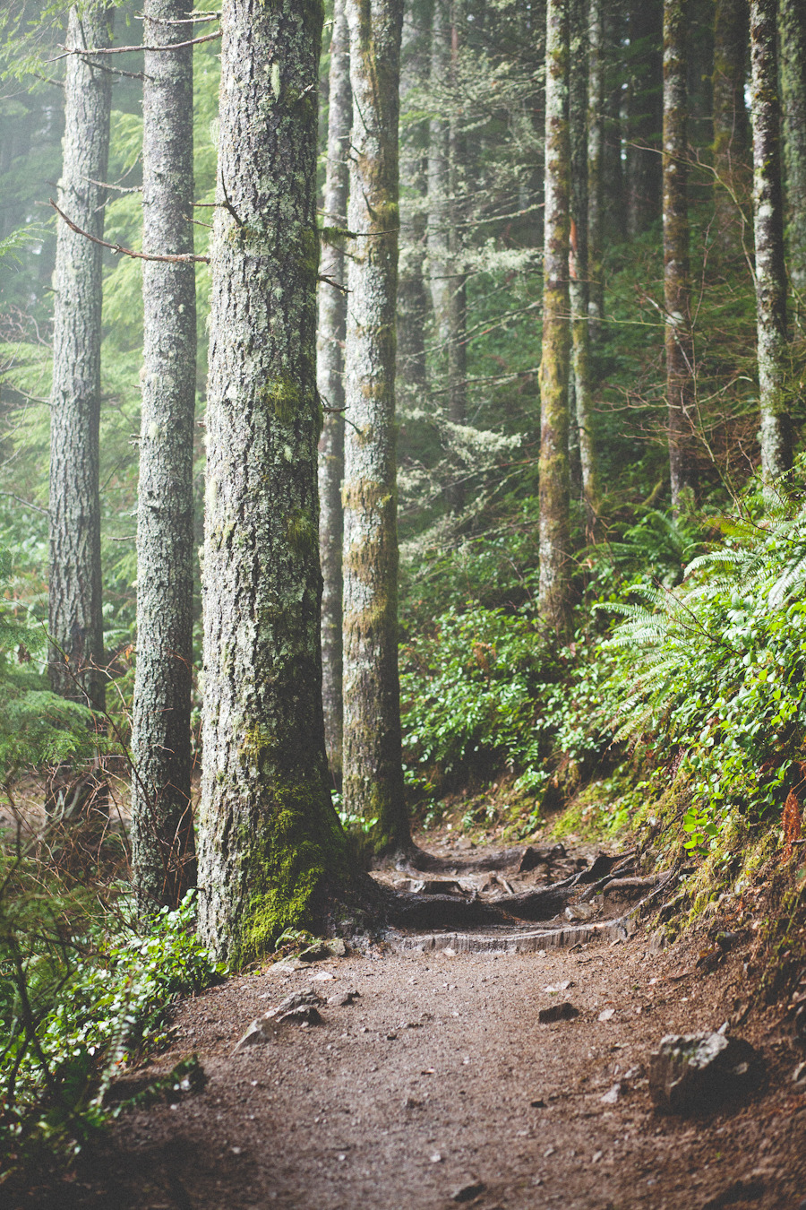 zionawaits:   North Bend, WA Rattlesnake Ledge 