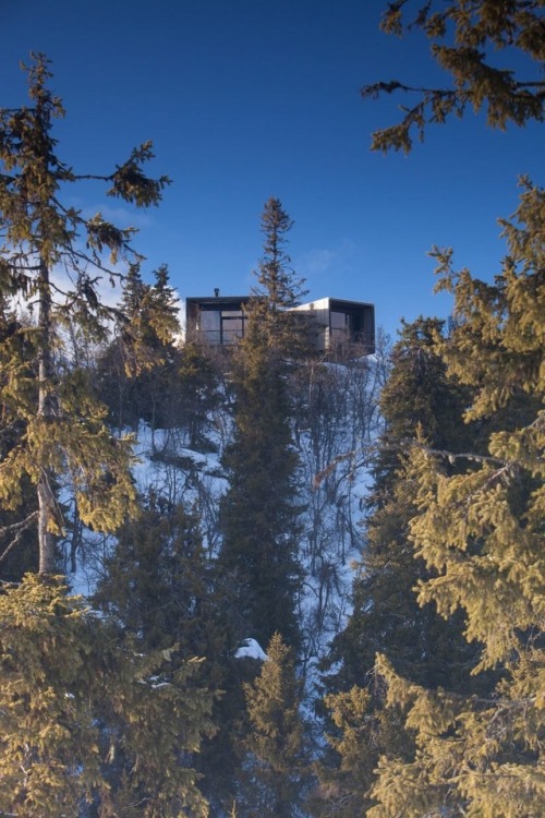 goodwoodwould: Good wood - Pine louvres cover the glazed sides of this beautiful cabin by Oslo studi