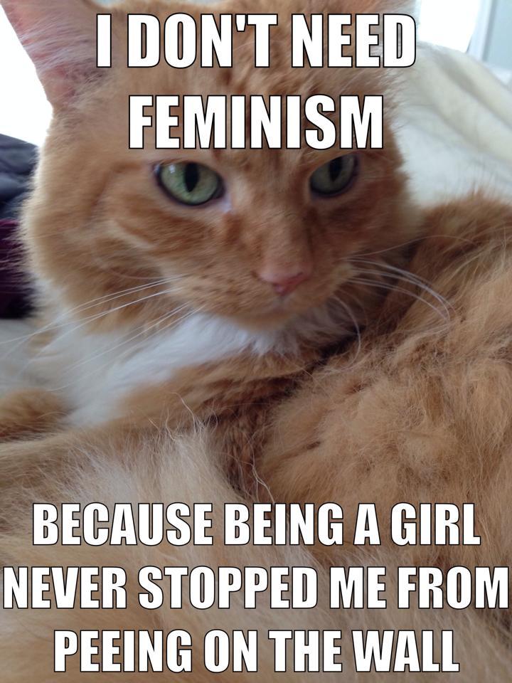 I don’t need feminism…because being a girl never stopped me from peeing on the wall.
-
Confused Cats Against Feminism is a project of We Hunted the Mammoth