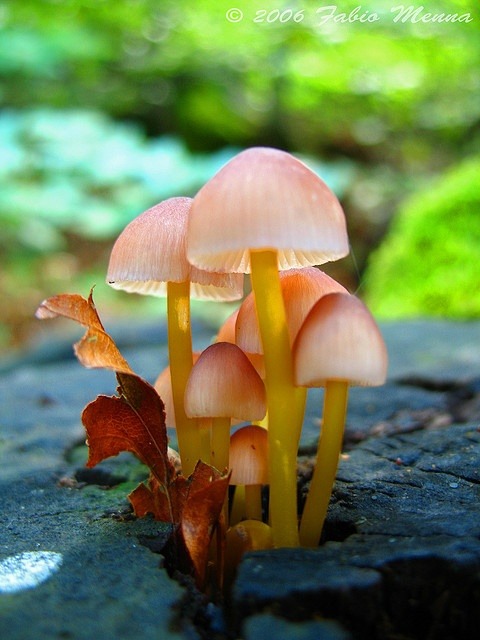 letsgoforahike:  Let’s Go For A Hike