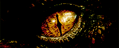 goldblums:  An Unexpected Journey &amp; The Desolation of Smaug + visually beautiful