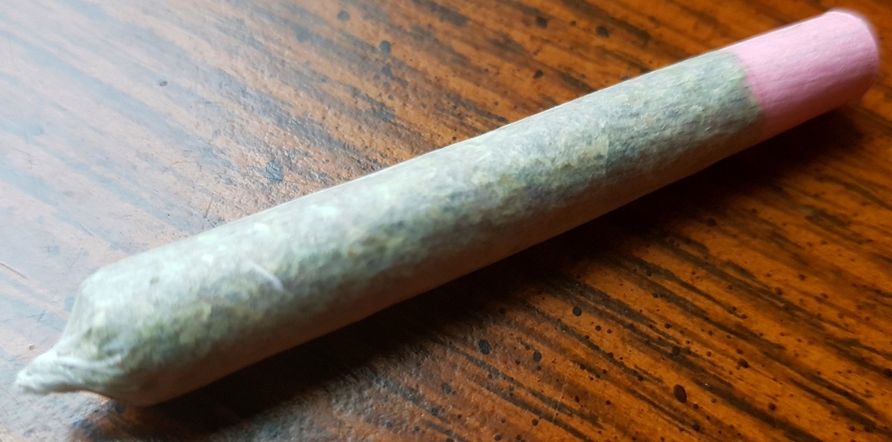 kushycat:Doobie time 💨